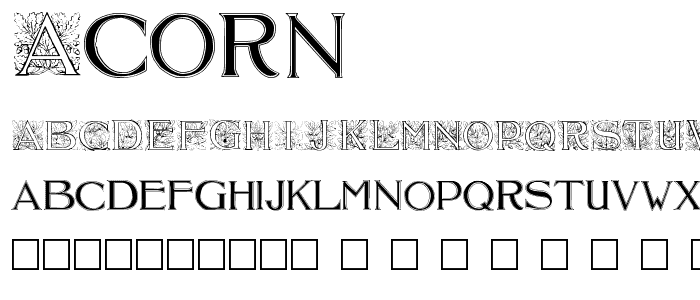 Acorn font