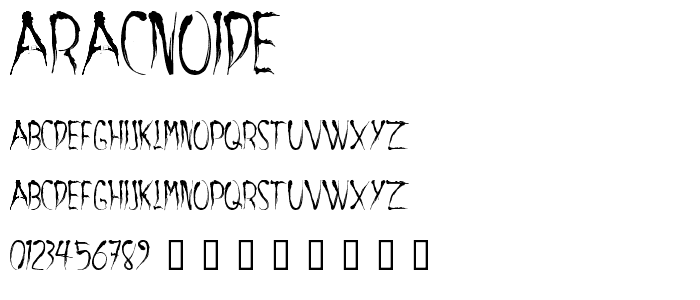 aracnoide font