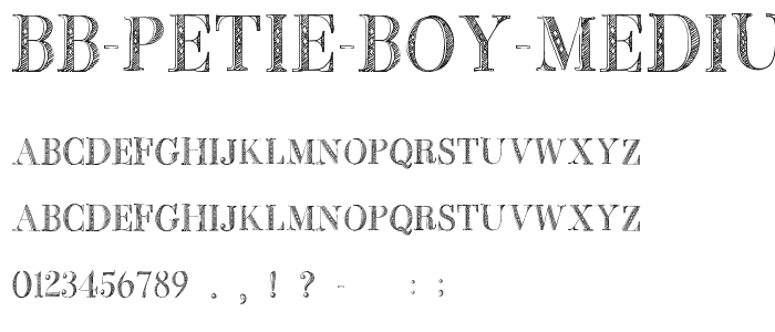BB Petie Boy Medium font