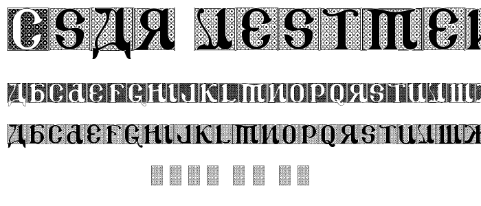 CSAR VESTMENT font