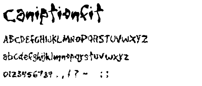 CaniptionFit font