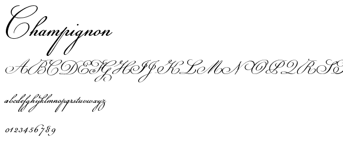 Champignon font