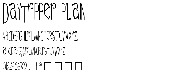 Daytripper Plain police