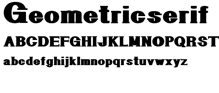 GeometricSerif police