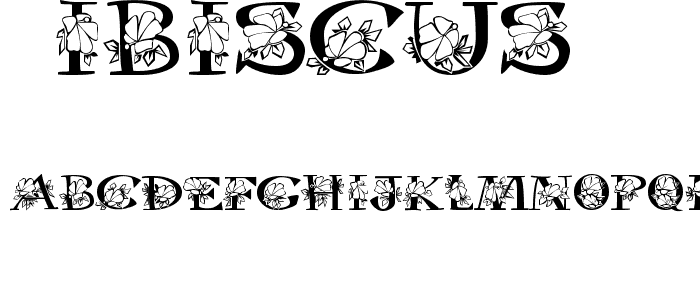 Hibiscus font