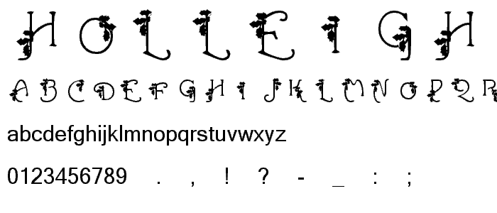 HolLeigh Caps font