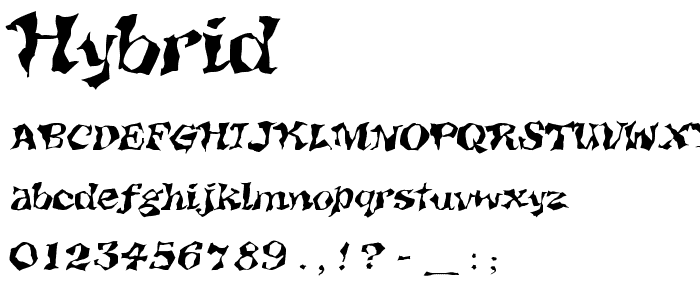 Hybrid font