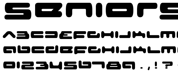 SeniorService Regular font