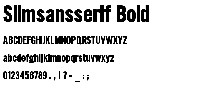 SlimSansSerif-Bold font
