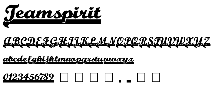 TeamSpirit font