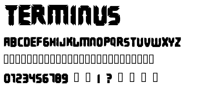 Terminus font