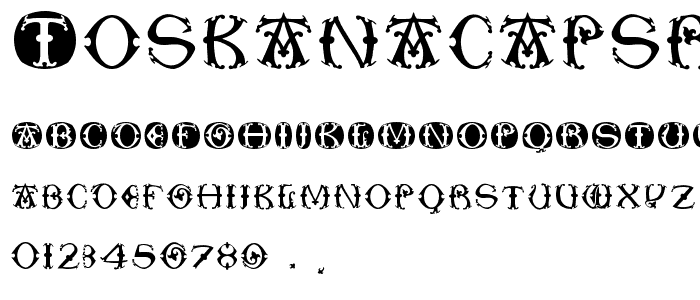 ToskanaCapsRound font