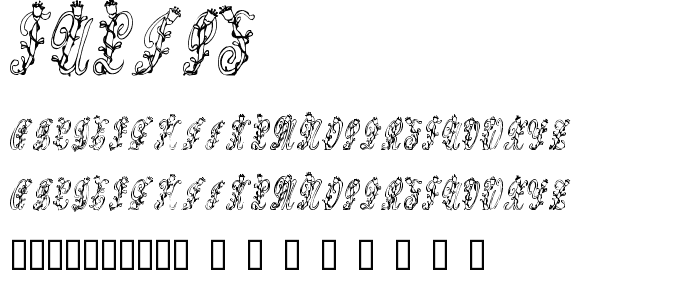 Tulips  font