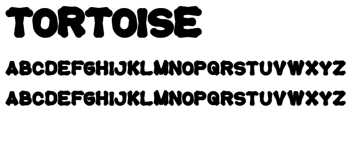 tortoise font