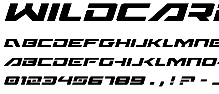 Wildcard Expanded Italic font