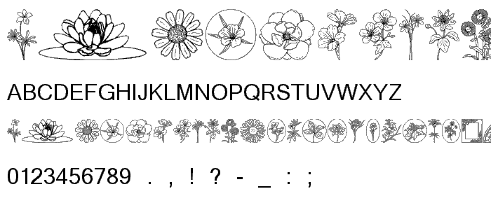Wildflower III font