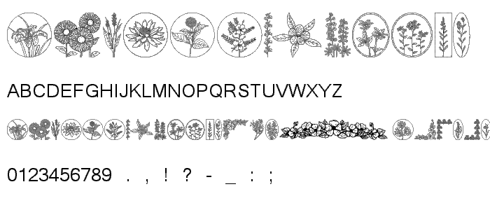 Wildflower font