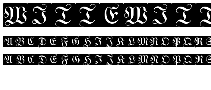 WittewittMajuscles-FlourishBricks font