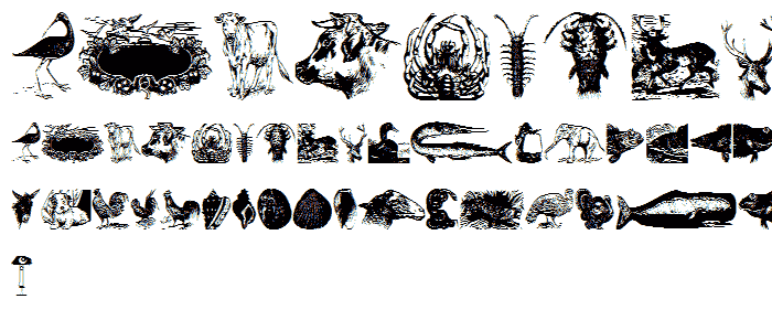 Zoological font