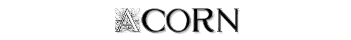 Acorn font