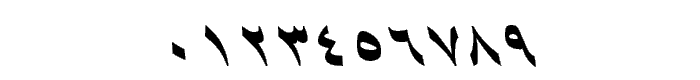B Shiraz Italic font