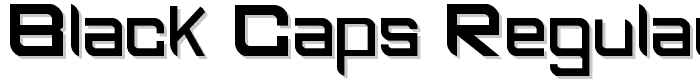 BLACK CAPS Regular police