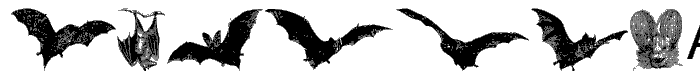 BatBats font