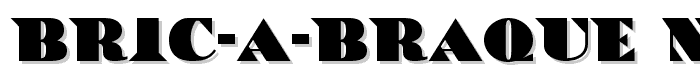 Bric-a-Braque NF police