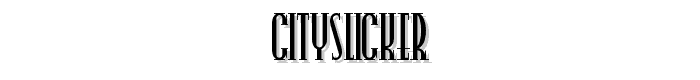CitySlicker police