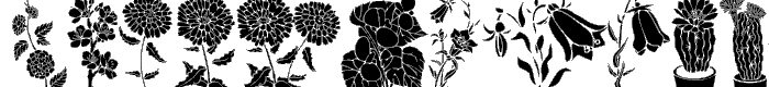 DT Flowers 1 font