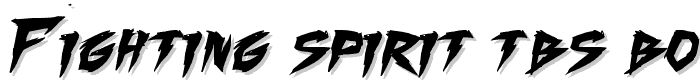 Fighting Spirit TBS Bold font