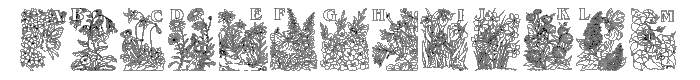 Flower%20and%20Fairy%20Alphabet font