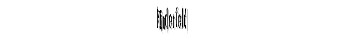 Kinderfeld police