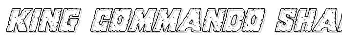 King Commando Shadow Italic police