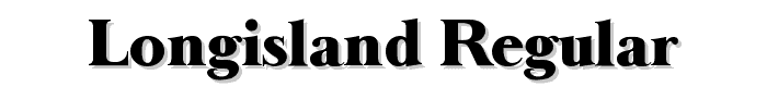 LongIsland Regular police
