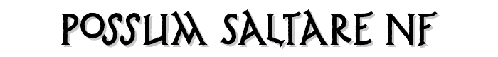 Possum%20Saltare%20NF font