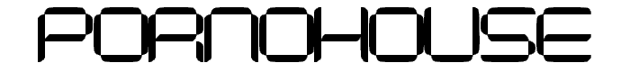 pornohouse police