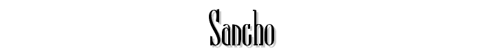 Sancho police