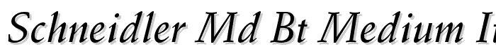 Schneidler%20Md%20BT%20Medium%20Italic font