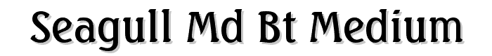 Seagull Md BT Medium font