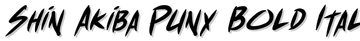 Shin%20Akiba%20Punx%20Bold%20Italic font