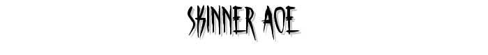 Skinner%20AOE font