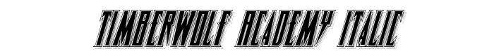 Timberwolf%20Academy%20Italic font