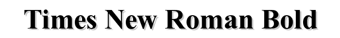 Times%20New%20Roman%20Bold font