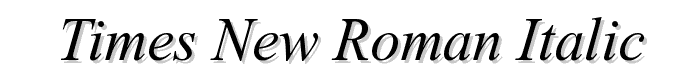 Times%20New%20Roman%20Italic font