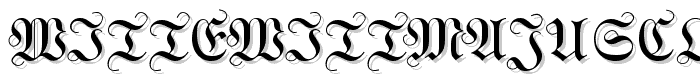 WittewittMajuscles-Flourish font