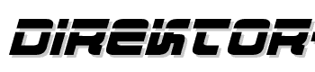 Direktor-Laser-Italic font